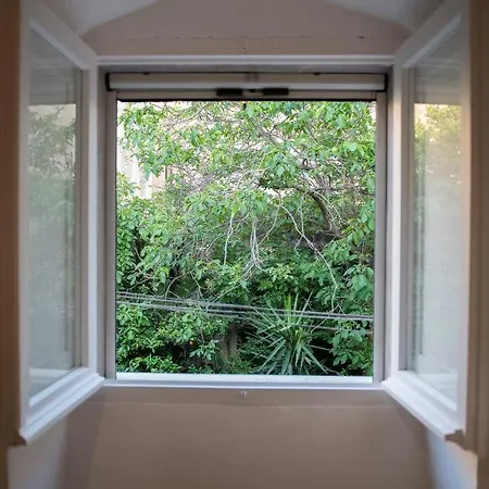 B&B B.i.c. 사사리